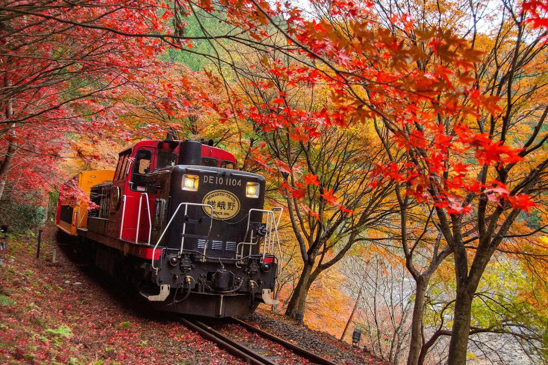 Un train rouge et noir traverse une forêt au feuillage d'automne éclatant, avec des teintes de rouge, d'orange et de jaune.