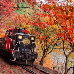 Sagano Romantic Train: One-Way Ticket 2
