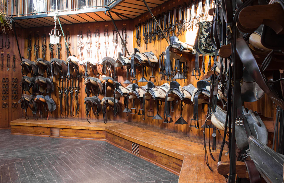 Multiple horse saddles, bridles, and riding gear hang neatly on wooden walls in a well-organized tack room.