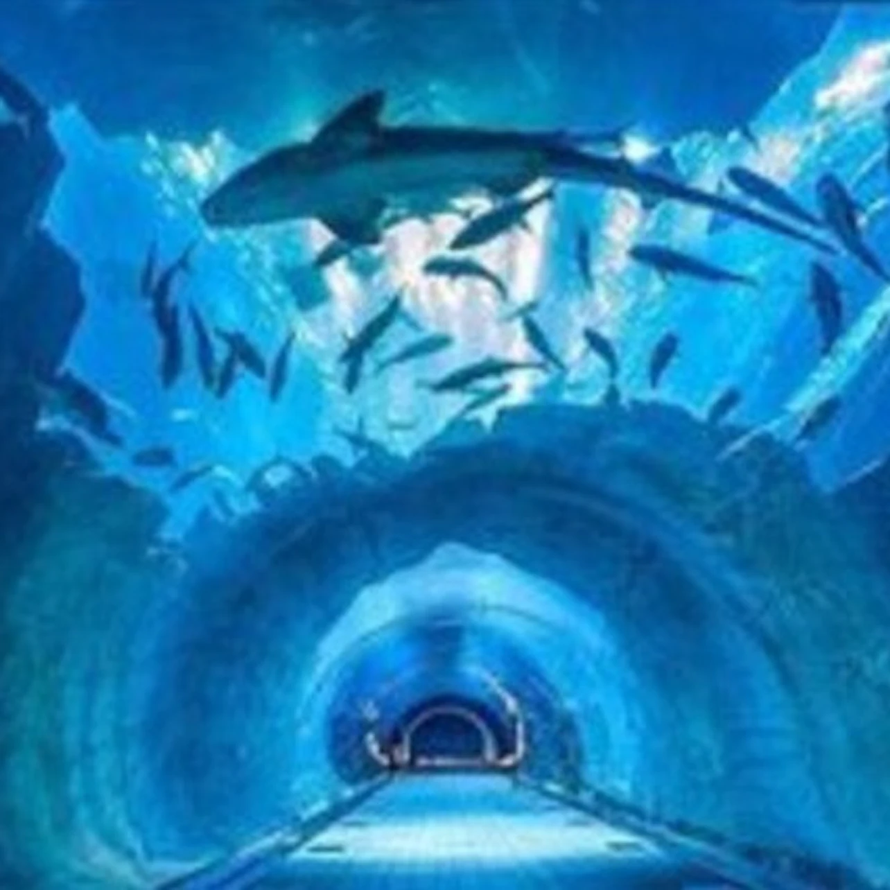 Dubai Aquarium & Underwater Zoo: Silver Pass 2