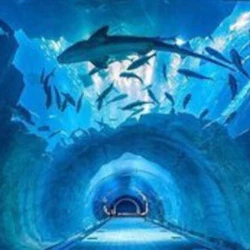 Dubai Aquarium & Underwater Zoo: Silver Pass 2