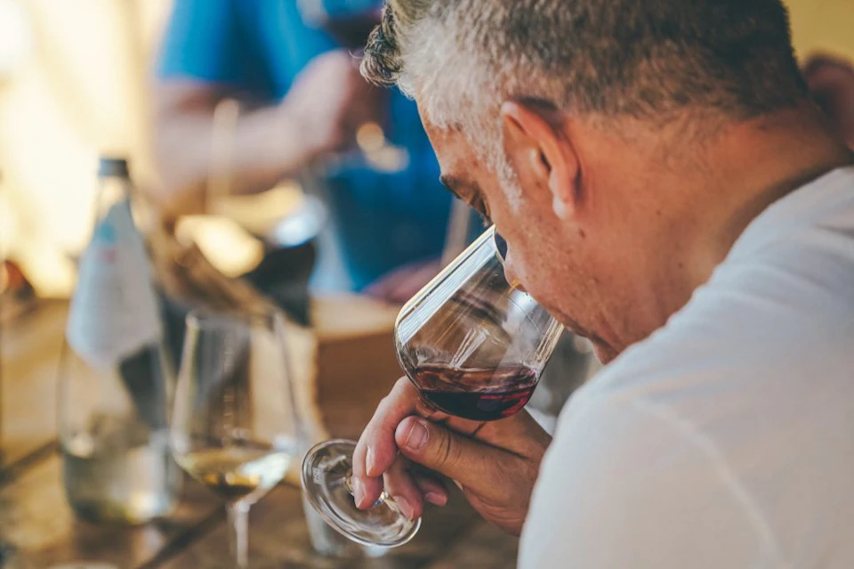Amarone wine tasting tour from Verona