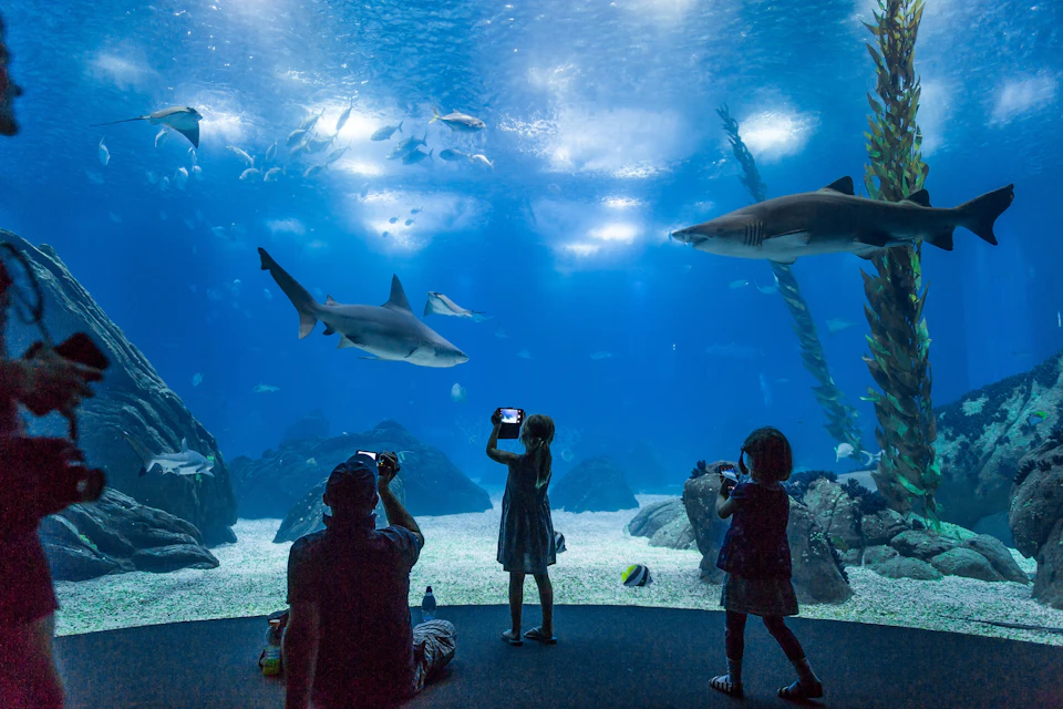 Oceanário de Lisboa