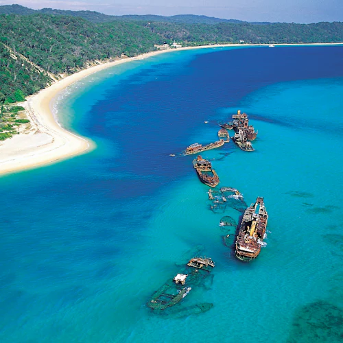 Brisbane: Moreton Island Day Pass + Ferry Transfers