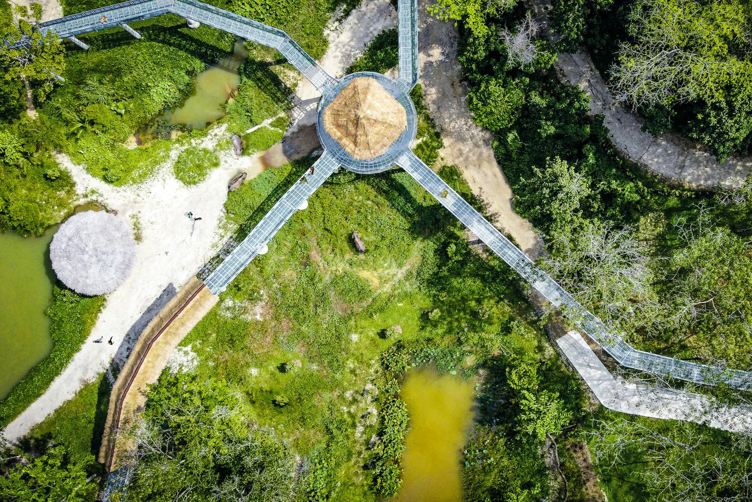 Εναέρια άποψη ενός εξαγωνικού ξύλινου περιπτέρου με διαδρόμους που εκτείνονται σε τέσσερις κατευθύνσεις μέσα σε ένα καταπράσινο δάσος και μικρές λίμνες.