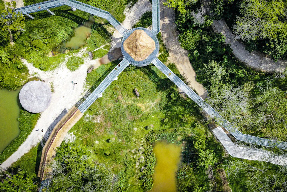 Aerial view of a hexagonal wooden pavilion with walkways extending in four directions amidst a lush green forest and small ponds.