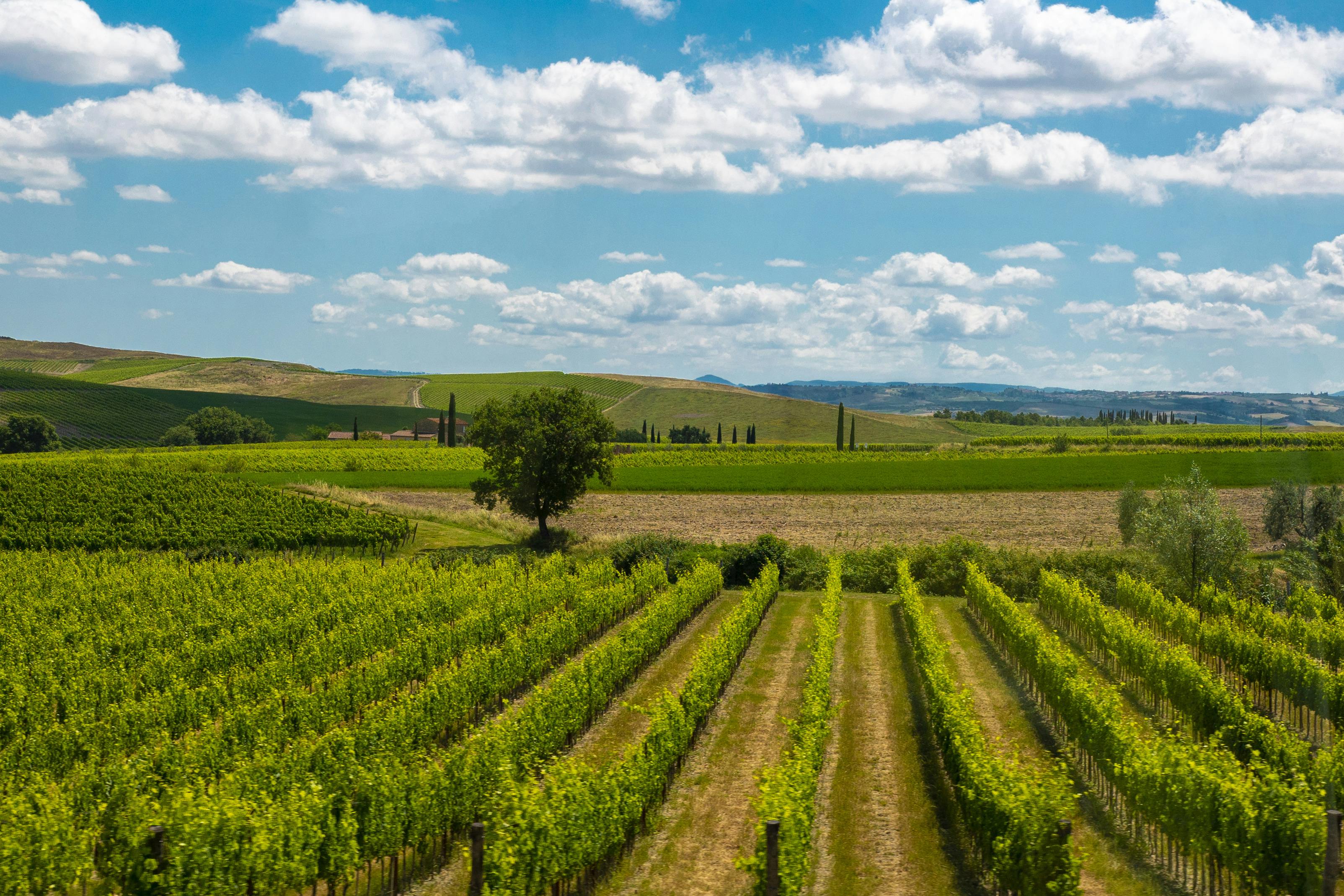 Monteriggioni and Val d'Orcia.