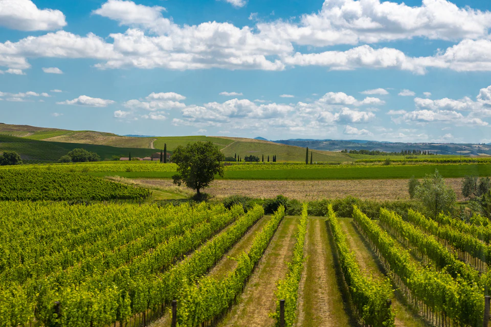Monteriggioni and Val d'Orcia.