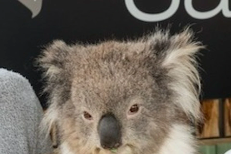 Moonlit Sanctuary Wildlife Conservation Park