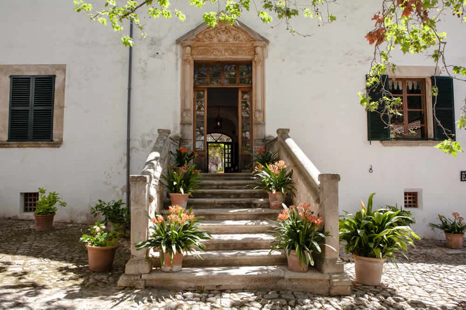 Stone steps with potted plants lead to a wooden door with a glass panel, set in a white wall. Greenery and a window are visible.