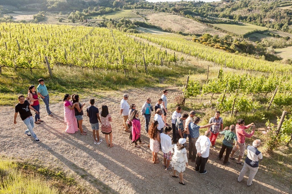 Montepulciano Wine Tasting Tour Tickets Tiqets