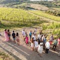 Visite os vinhedos de Montepulciano