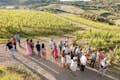 Bezoek de Montepulciano wijngaarden
