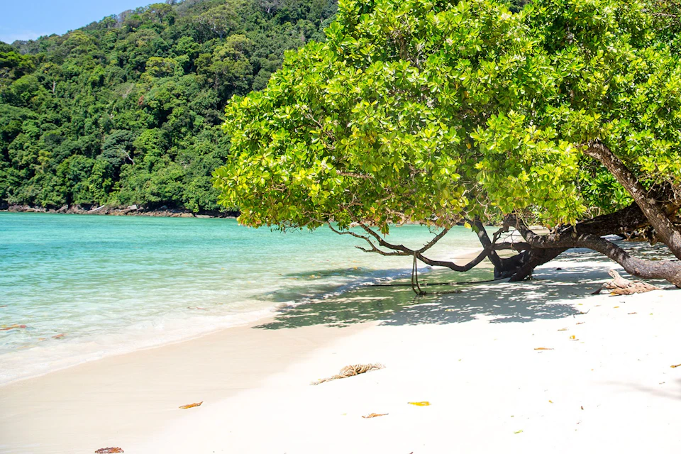 Feel the warm sand beneath your toes, listen to the gentle waves lapping at the shore, and soak up the sun.