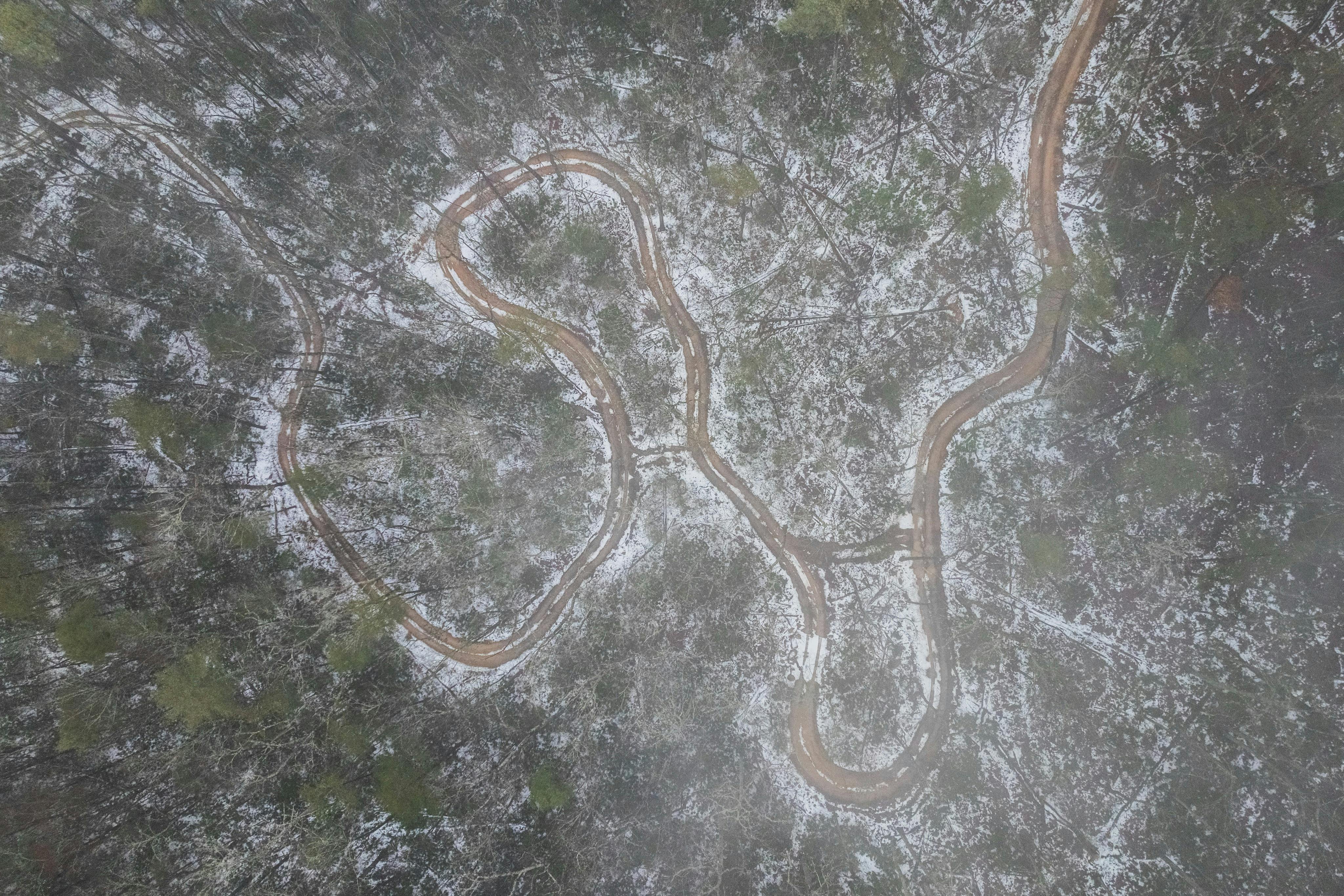 木々が散在する雪に覆われた森の風景の中を曲がりくねった土道を空から眺めることができます。