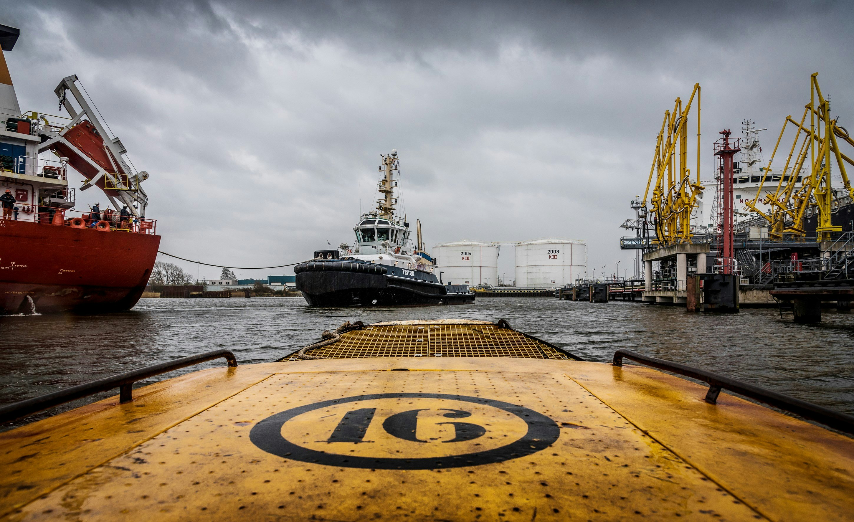 Amsterdã: Cruzeiro no Porto de Amsterdã a partir de NDSM