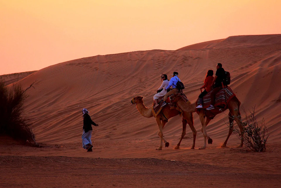 Camel Ride