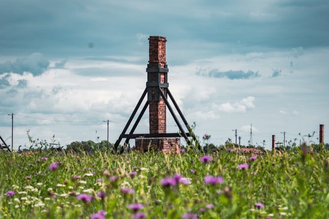 在多云的天空下，一片野花田野中矗立着一座高大的砖砌烟囱，带有结构支撑。
