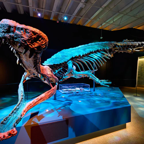 Queensland Museum Kurilpa: Croc! Lost Giants to Living Legends Exhibition Entry - Photo 8