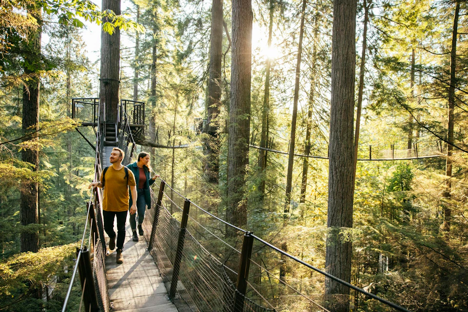 Capilano Suspension Bridge Park