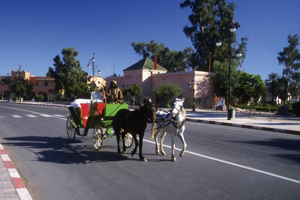 A horse-drawn carriage with a driver in a street, surrounded by trees and buildings under a clear blue sky.