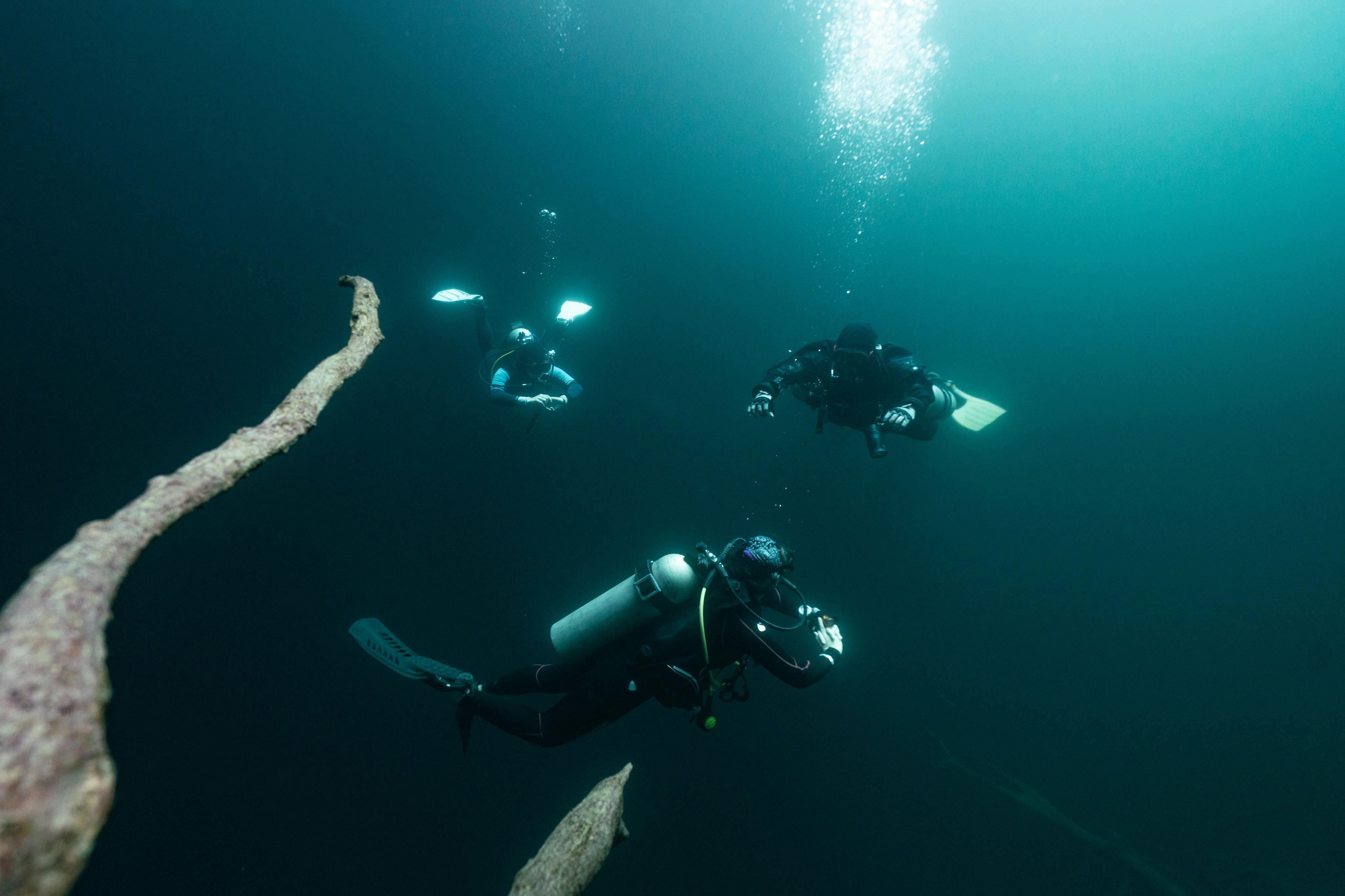 Trois plongeurs sous l'eau entourés d'eau sombre, avec des bulles visibles et une branche immergée.