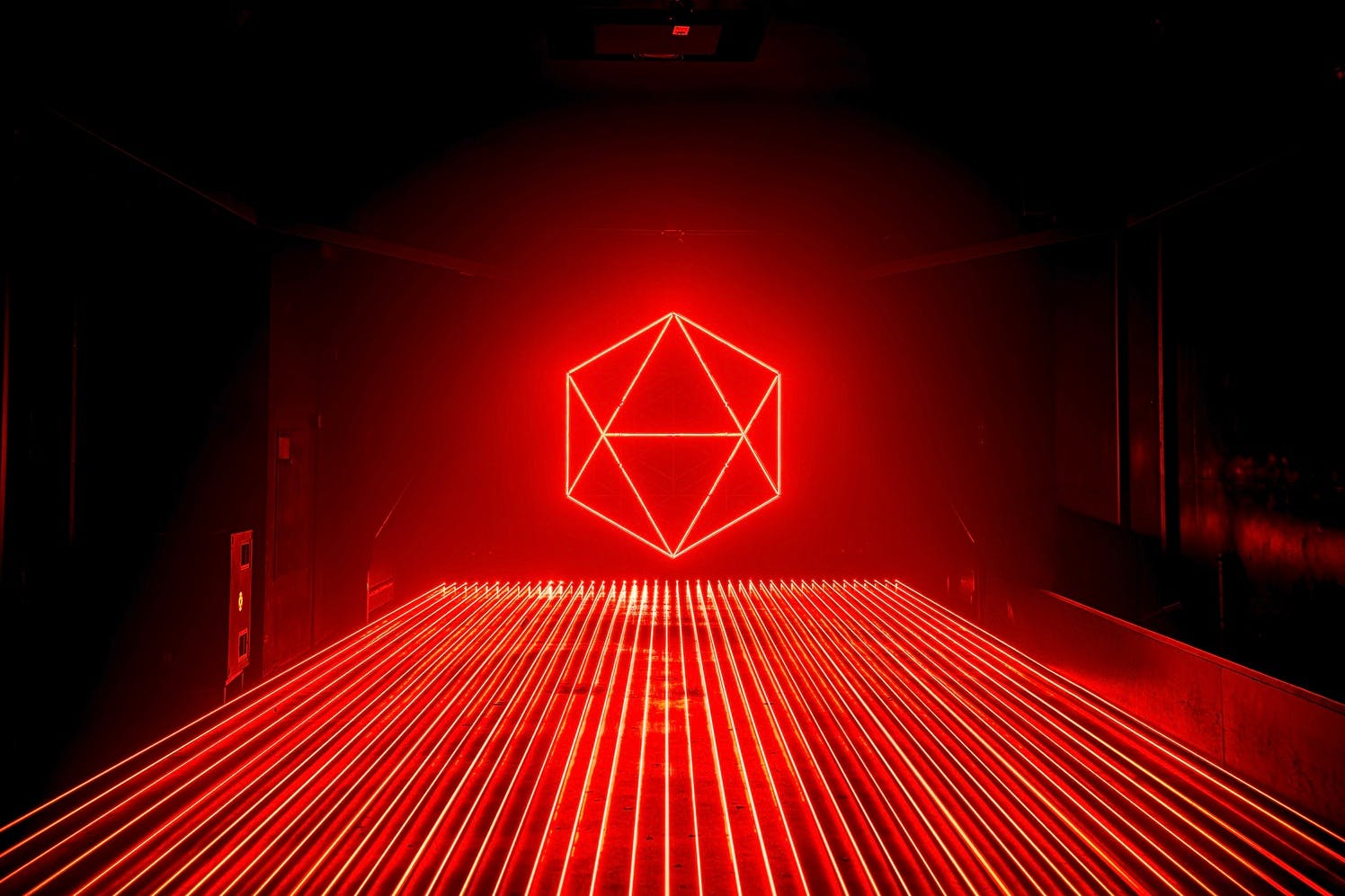 AMAZE: The Immersive Experience