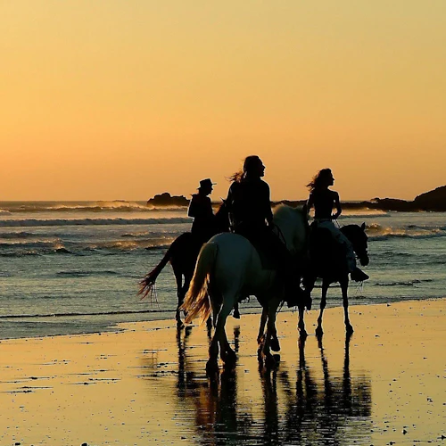 Horse Riding Tour: Sea and Desert with Transfer - Hurghada - Photo 7