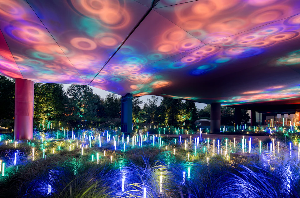 A garden with illuminated sticks and circular light patterns projected on a canopy overhead, surrounded by trees.