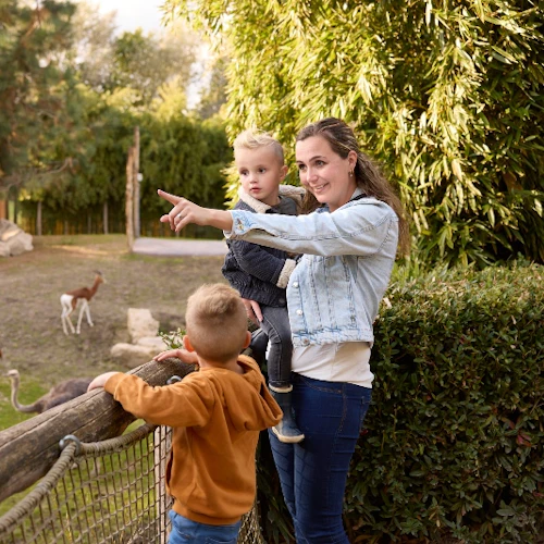 ZooParc Overloon: Entry Ticket - Photo 6
