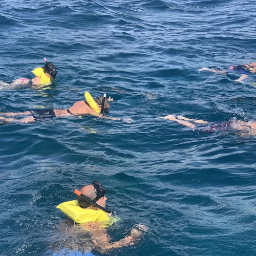 Isla Catalina: excursión de buceo con esnórquel, comida y bebidas desde Punta Cana - Photo 8