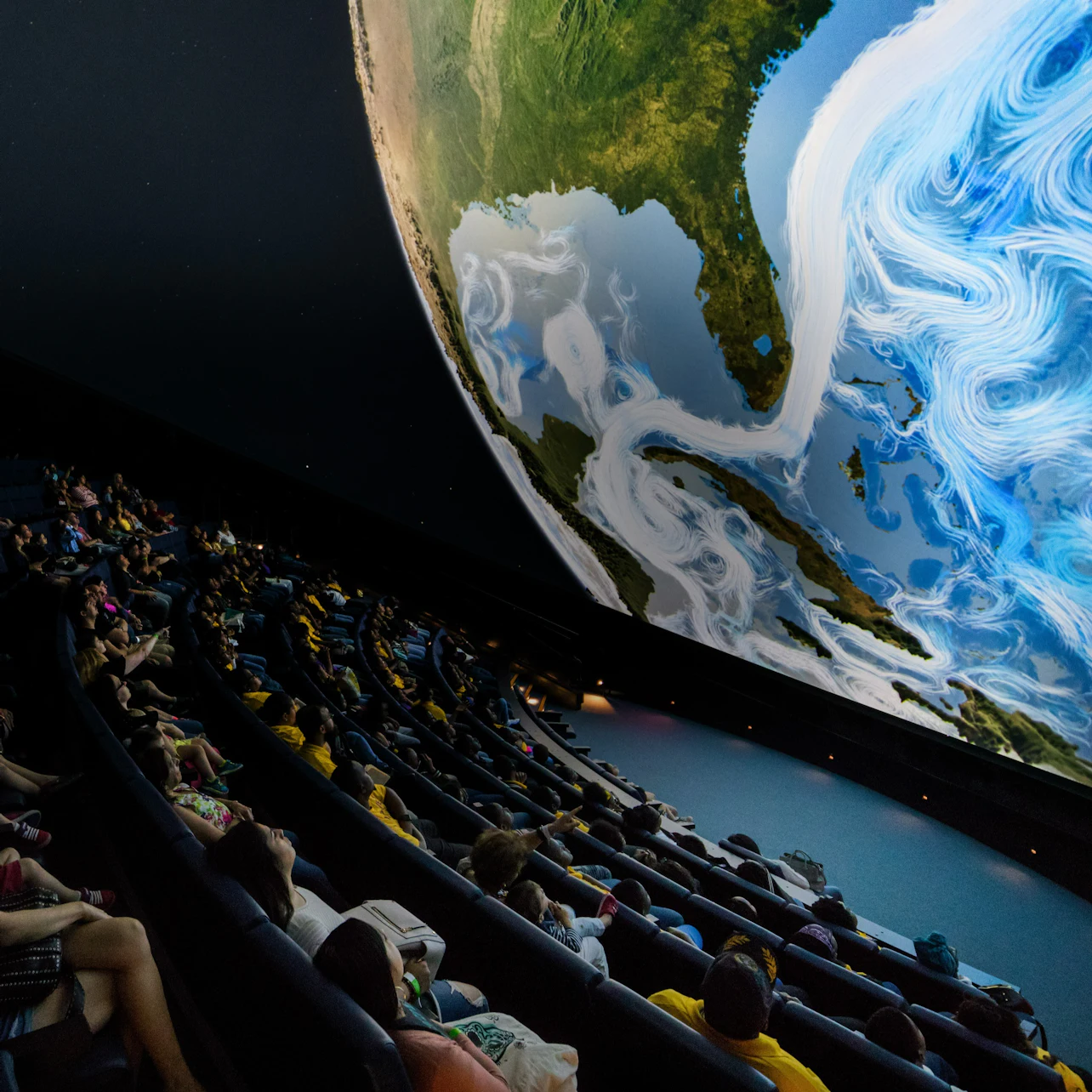 Phillip & Patricia Frost Museum of Science, Aquarium & Planetarium: Entry Ticket in Miami β Tiqets