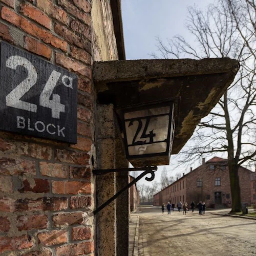 Auschwitz-Birkenau: Guided Tour + Transport - Photo 6