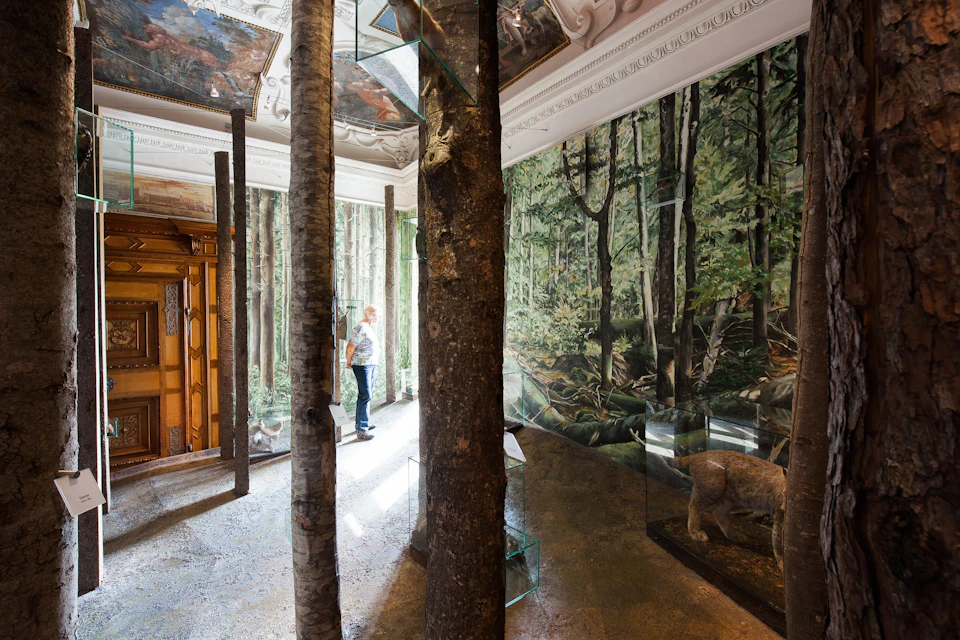 A man observes an art exhibit with mural paintings of a forest, integrated tree trunks, and a bear sculpture in a glass case.