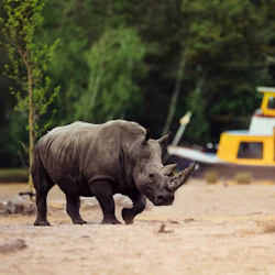 Safaripark Beekse Bergen 4