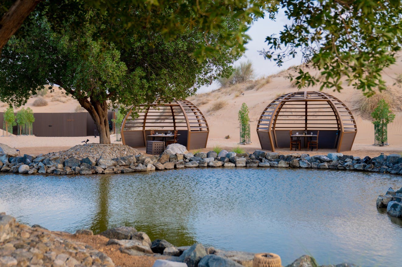 Dubai: Guided Luxury Desert Safari + Breakfast + Transfers - Photo 8