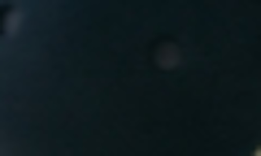 Warner Bros., Movie World, Sea World, Paradise Country and Wet'n'Wild 7-day Pass