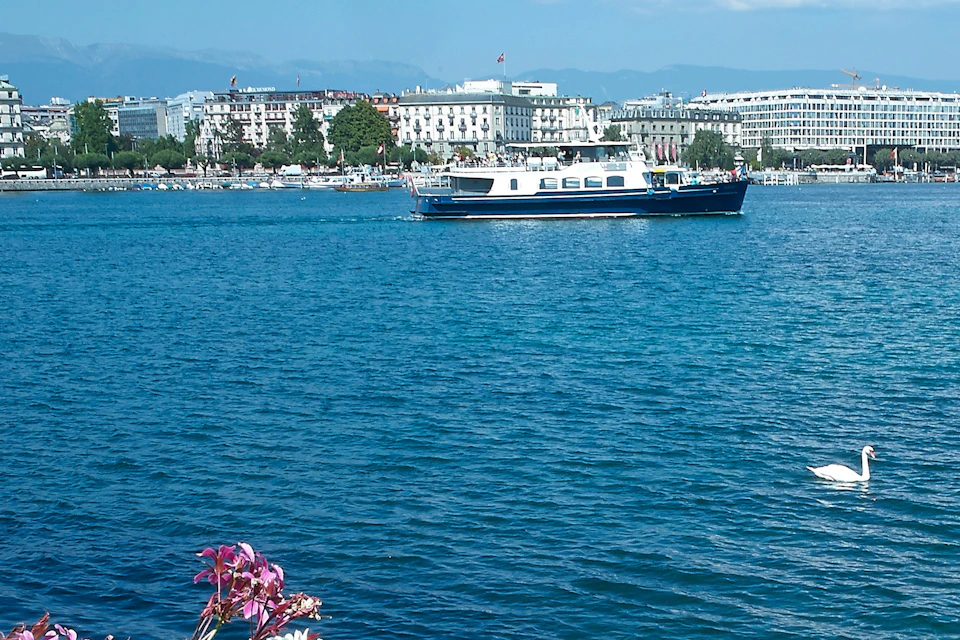 A boat and swan on a blue lake with city buildings and mountains in the background; flowers in the foreground.