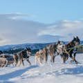 Jednodenní výlet na sněžných skútrech a zvířatech