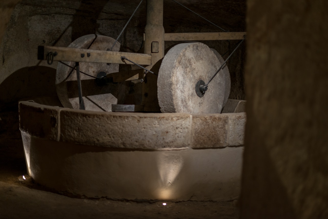 MOOM - Matera Olive Oil Museum - Accommodations in Matera