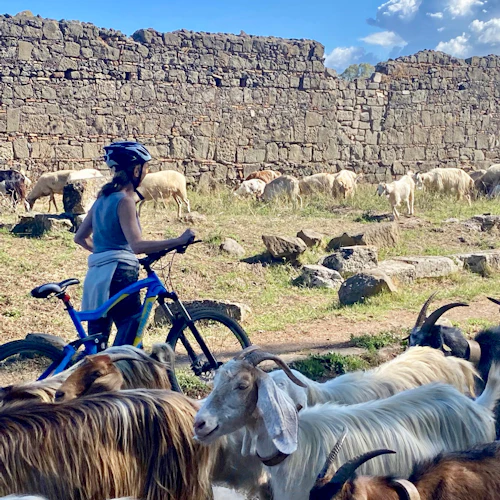 Appian Way: Off Beaten Track E-Bike Tour + Catacombs + Food - Photo 3