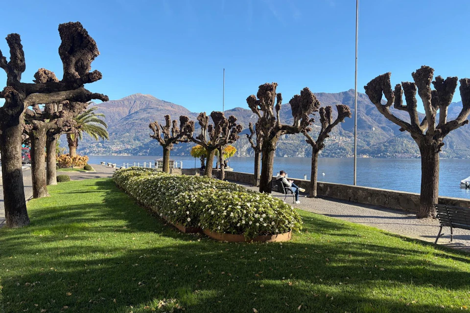 A well-maintained park by a lake, with pruned trees and a person sitting on a bench. Mountains and a clear sky in the background.