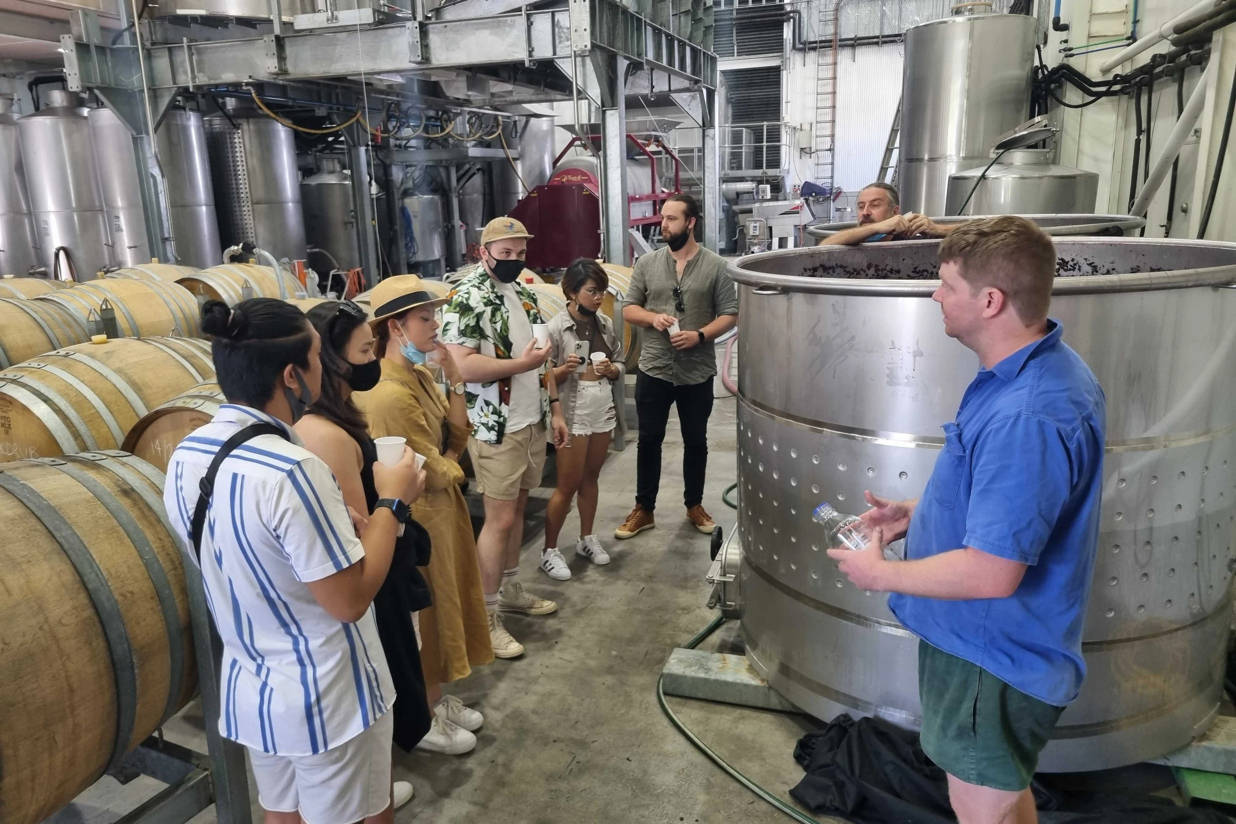 Hunter Valley: Guided Day Trip from Sydney with Tastings + Lunch
