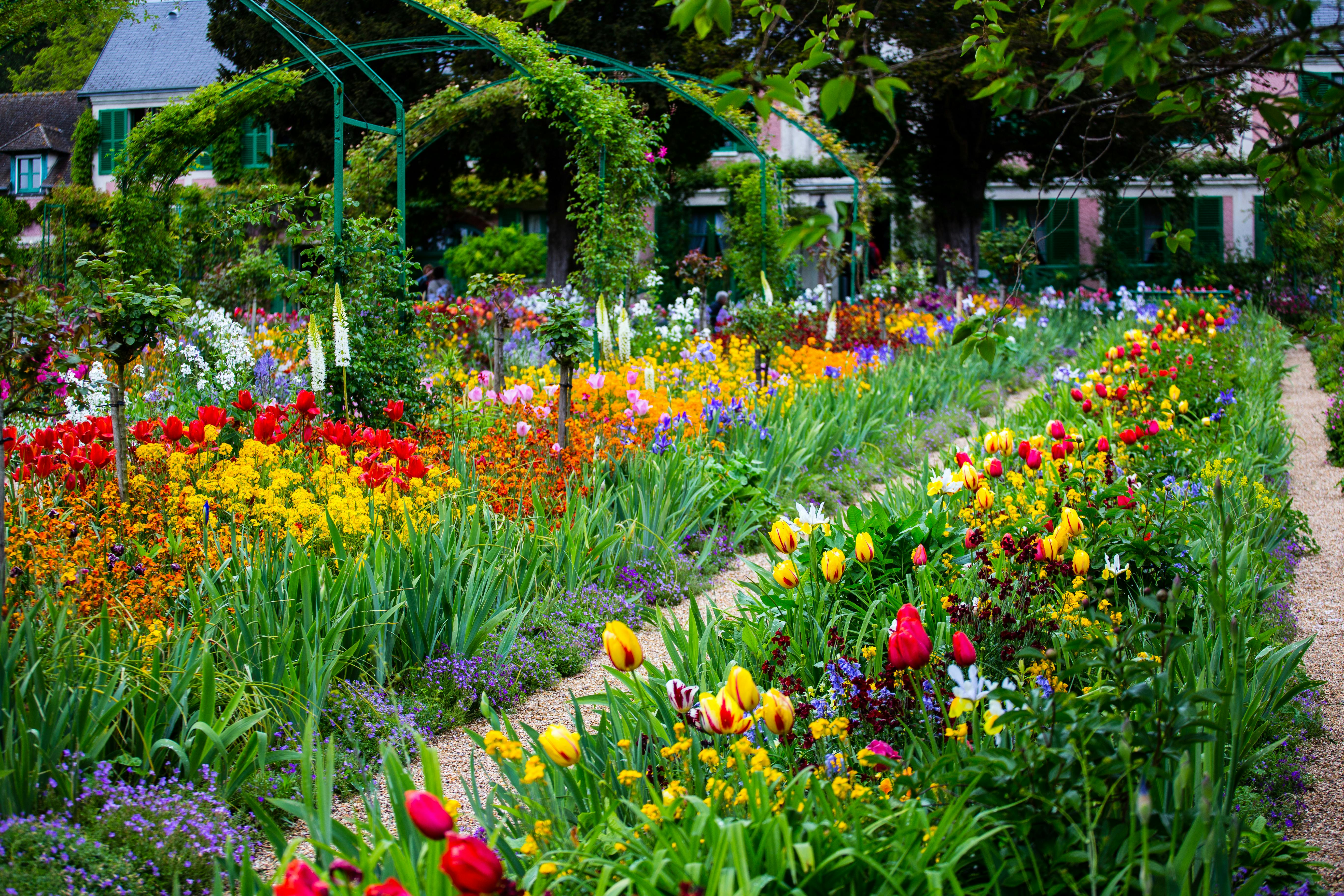緑のアーチや木々の下に色とりどりの花や葉が並ぶ、活気あふれる庭園の小道。