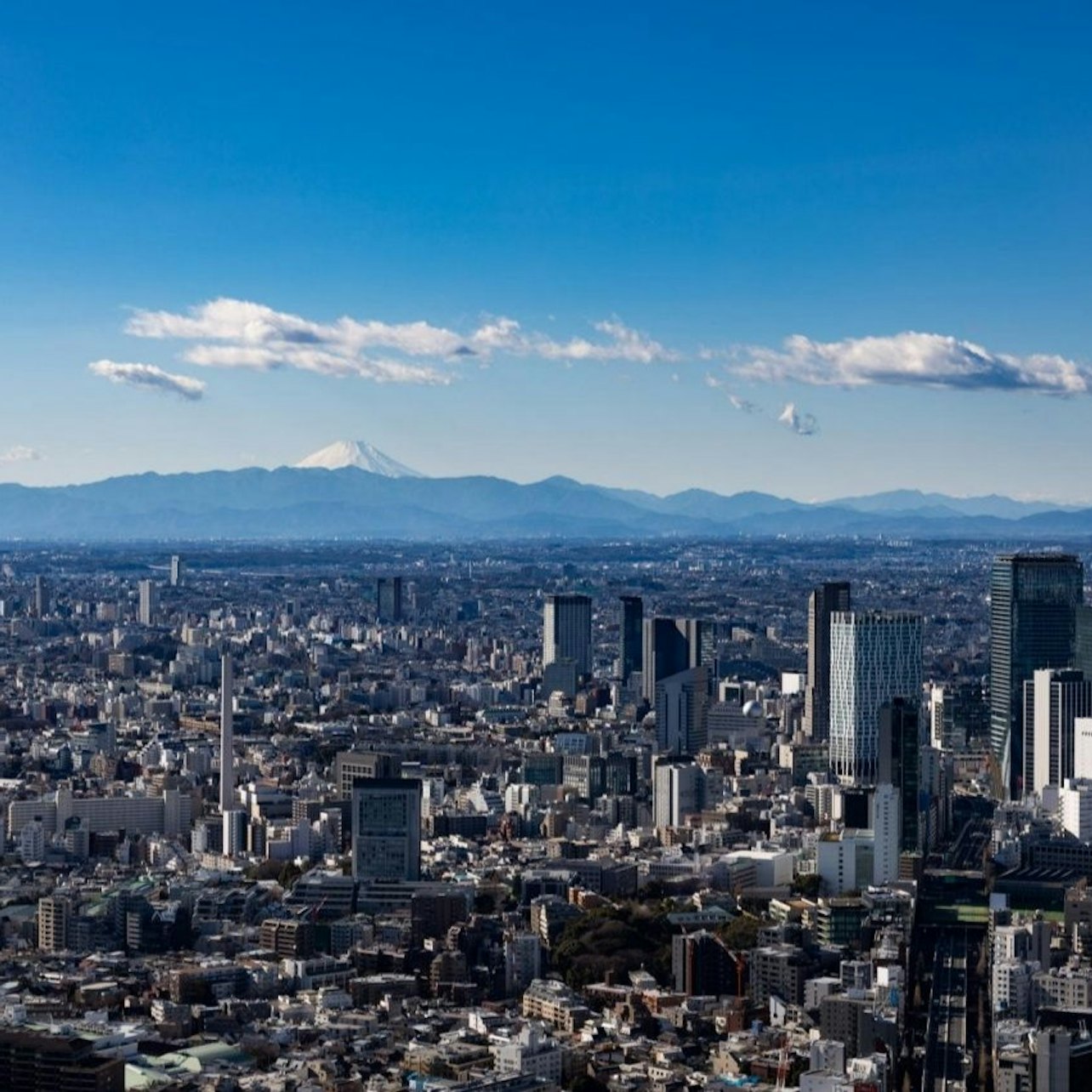 Tokyo City View: Observation Deck Entry Ticket in Tokyo β Tiqets