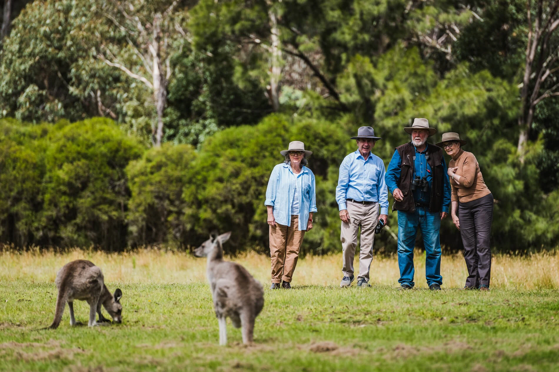 Canberra: Guided Wildlife Tour + Roundtrip Transportation