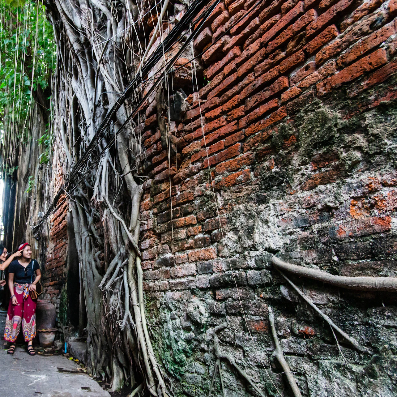 Chinatown Bangkok: Private Walking Tour + Food & Drinks in Bangkok – Tiqets