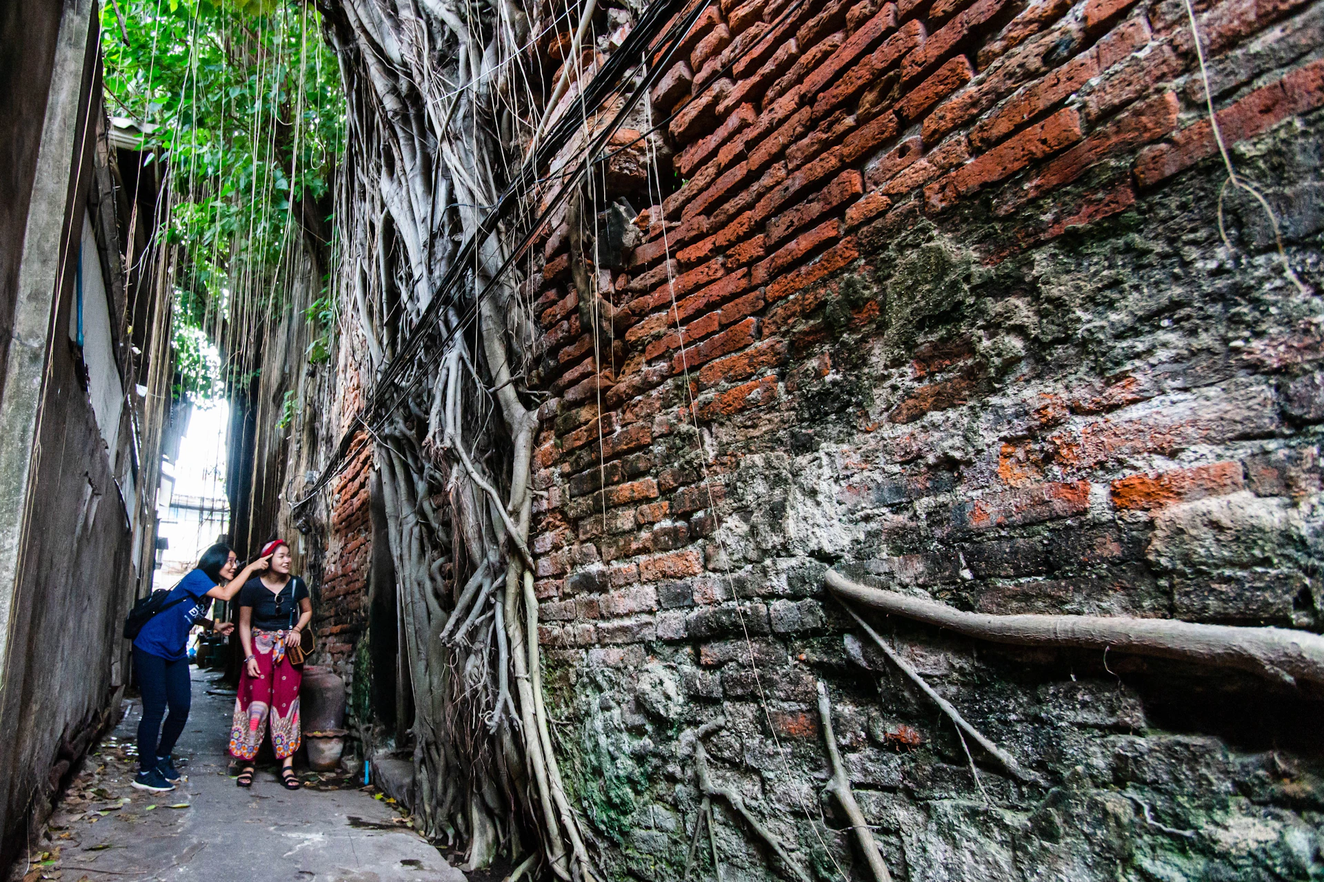 Discover the secrets of Chinatown's back alleys in Bangkok!
