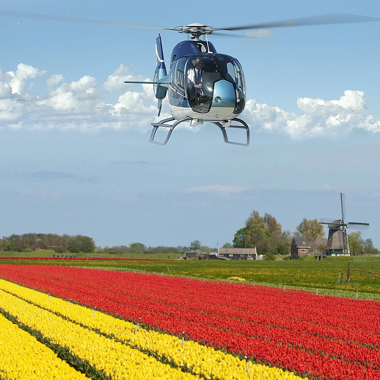 Photo of helicopter over tulip field