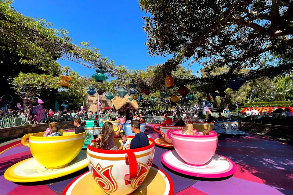 Disneyland® Park